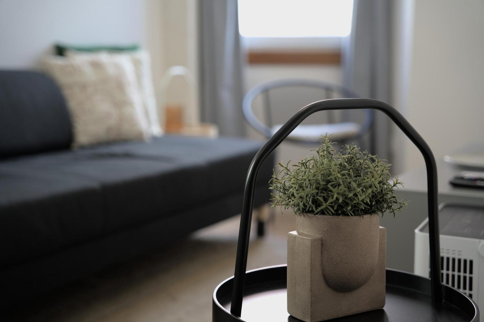 Lejlighed Elegant Flat Shared Outstanding Terrace Lisboa